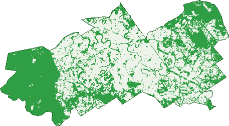 Where the trees are in Chahpingah