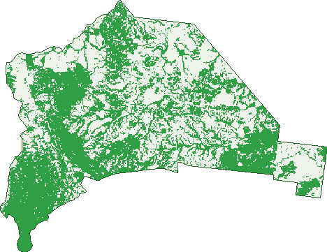 Where the trees are in Argyll