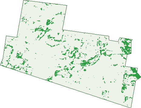 Where the trees are in Athol