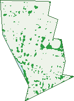 Where the trees are in Hawthorne