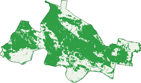 Where the trees are in Canoona