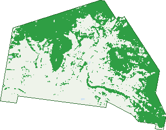 Where the trees are in Budgee