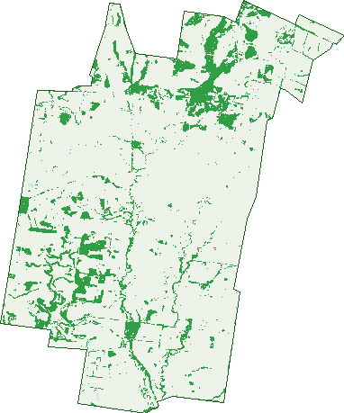 Where the trees are in Coomrith