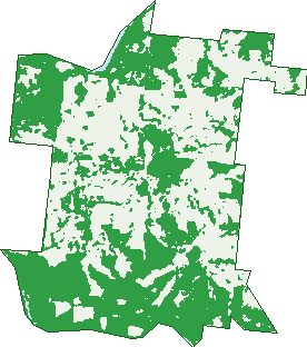 Where the trees are in Pin Gin Hill