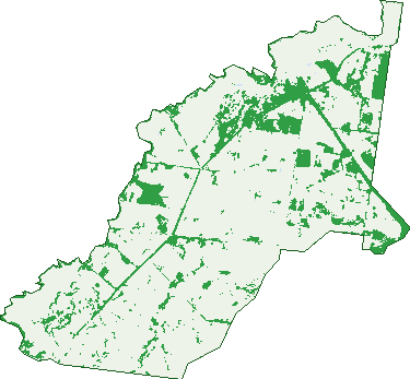 Where the trees are in Haly Creek