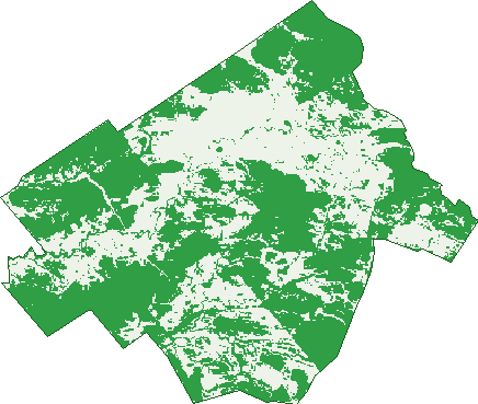 Where the trees are in Gore