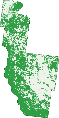 Where the trees are in Kemmis