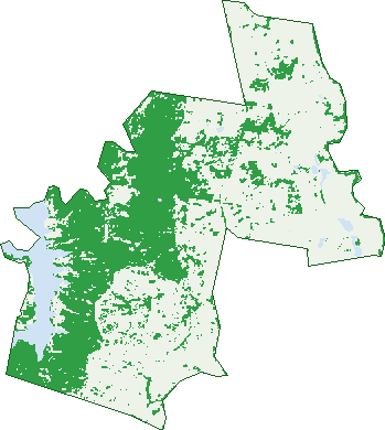 Where the trees are in Allenview