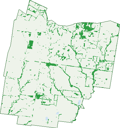 Where the trees are in Inglestone