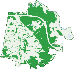 Where the trees are in Boondall
