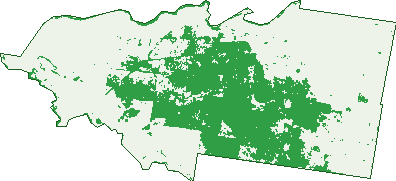 Where the trees are in Sandy Camp