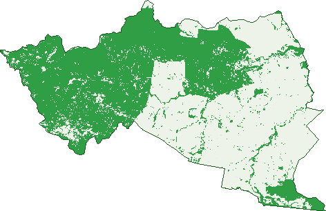 Where the trees are in Mantuan Downs