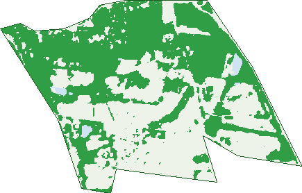 Where the trees are in Dakabin
