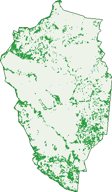 Where the trees are in Chewko