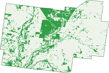 Where the trees are in Augathella