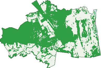 Where the trees are in Kennedy