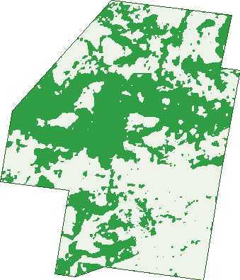 Where the trees are in Mount Rascal