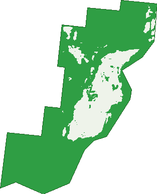 Where the trees are in Finlayvale