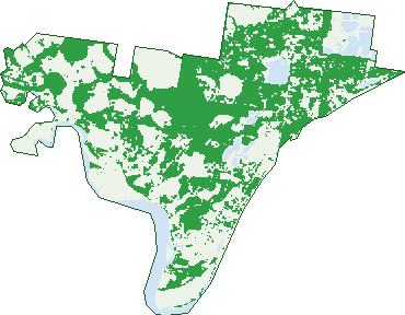 Where the trees are in Beachmere