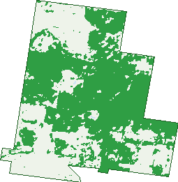 Where the trees are in Kleinton