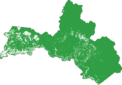 Where the trees are in Kirrama