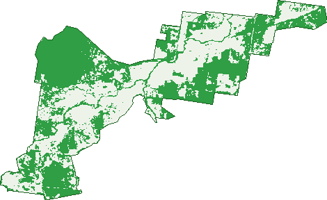 Where the trees are in Brooklands