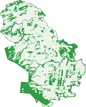 Where the trees are in Warrami