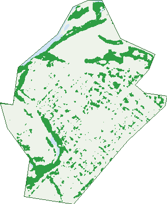 Where the trees are in West Mackay