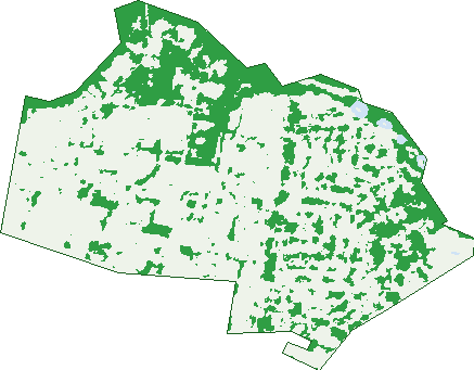 Where the trees are in Marsden