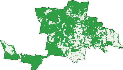 Where the trees are in Reesville