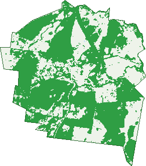 Where the trees are in Miriam Vale