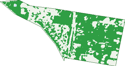 Where the trees are in Ellen Grove