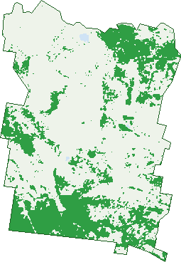 Where the trees are in Monivae