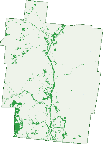 Where the trees are in Bayrick