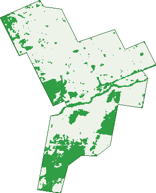 Where the trees are in Lanefield