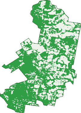 Where the trees are in Wamuran
