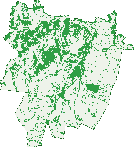 Where the trees are in Glenmorgan