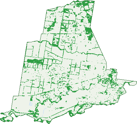 Where the trees are in Yelarbon