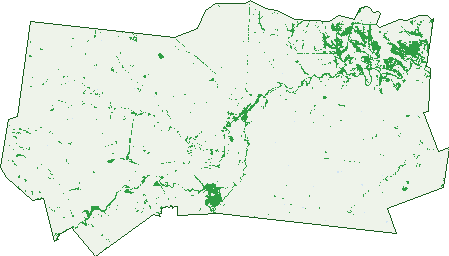 Where the trees are in Injune