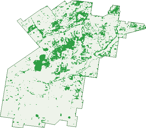 Where the trees are in Moola