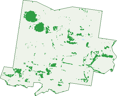 Where the trees are in Boodua